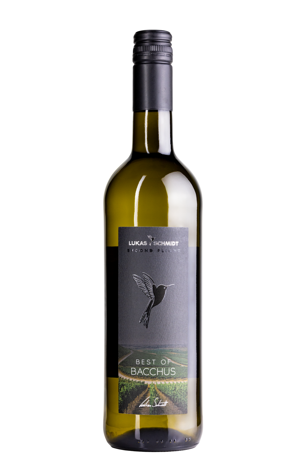 Best of Bacchus fruity /// Second Flight