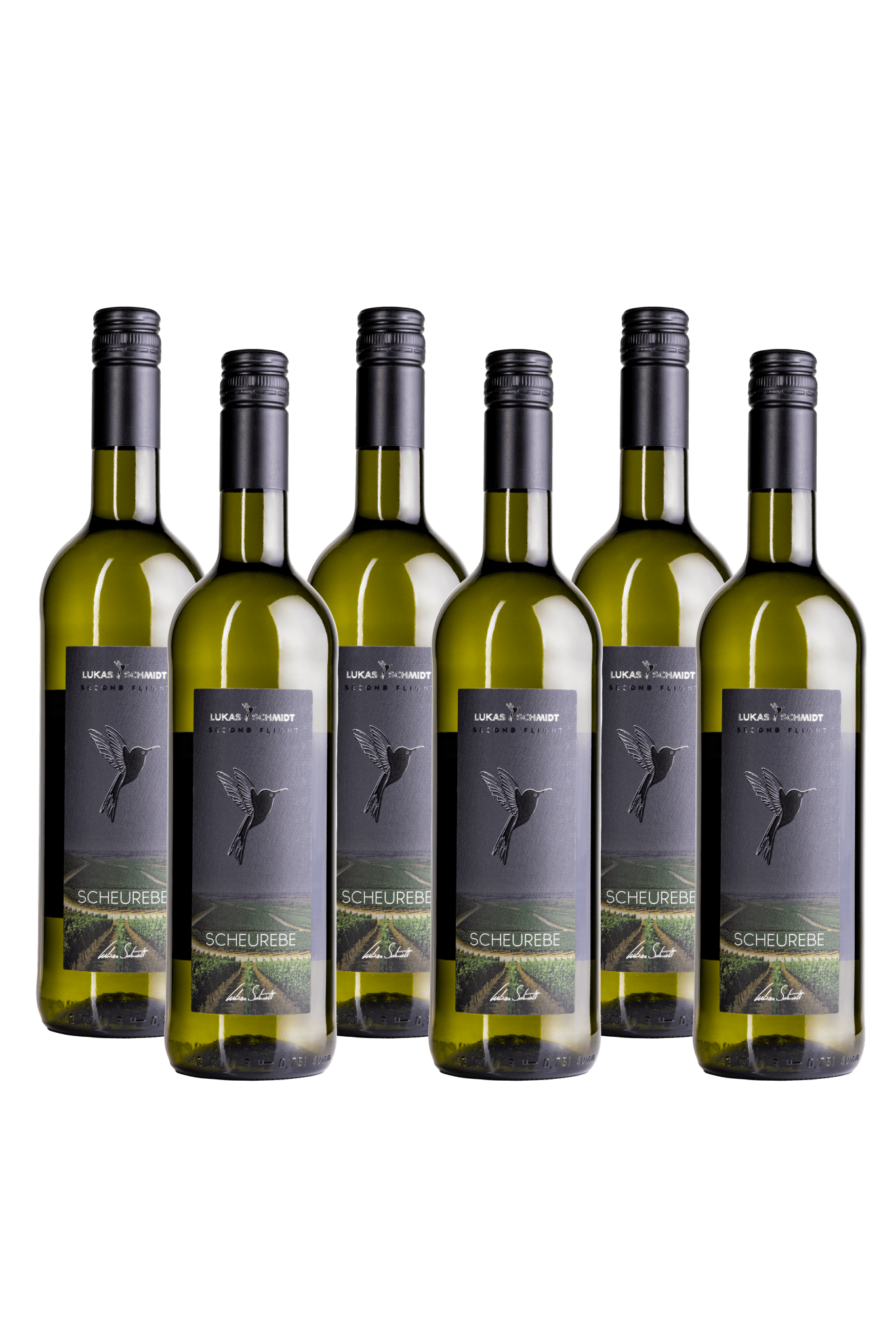 LUKAS SCHMIDT - Scheurebe - Second Flight - trocken - Set mit 6 Flaschen je 750ml - Lukas Schmidt Wein