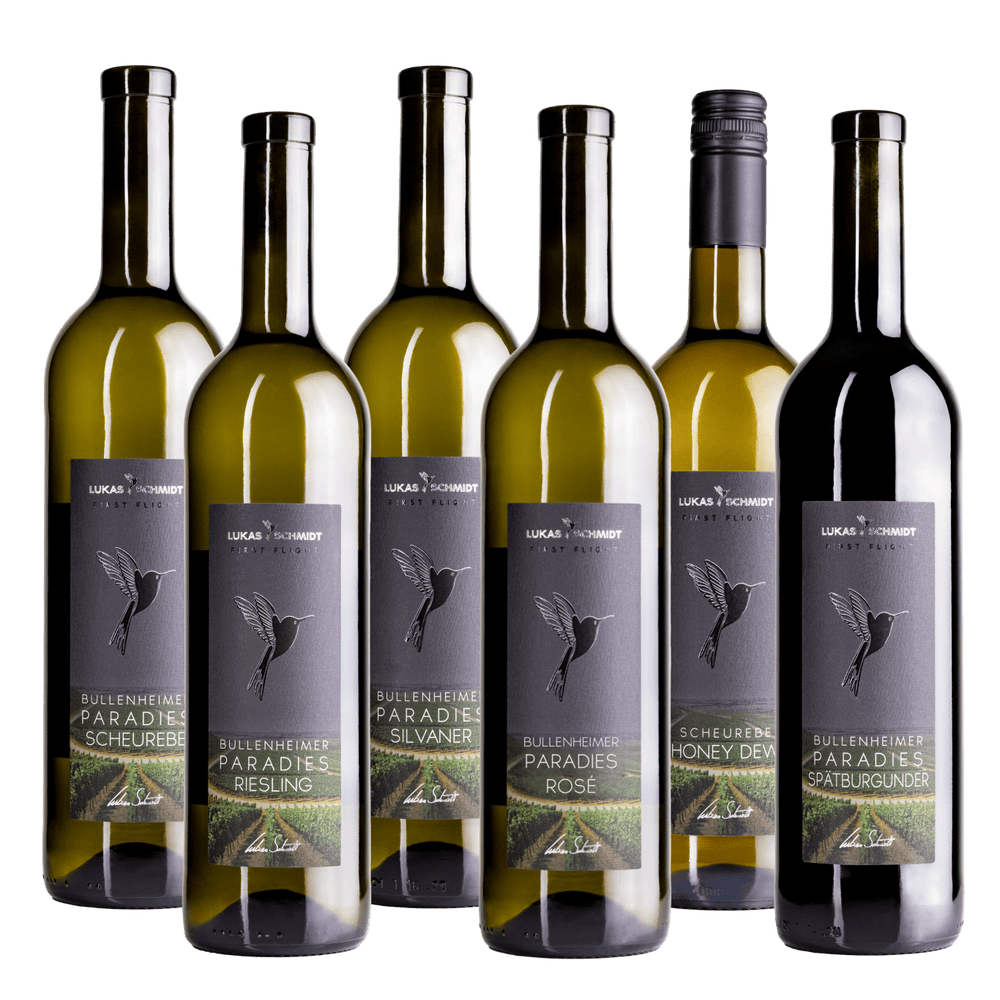 LUKAS SCHMIDT - 6er Probierpaket First Flight® "Zeit für große Visionen" - Lukas Schmidt Wein