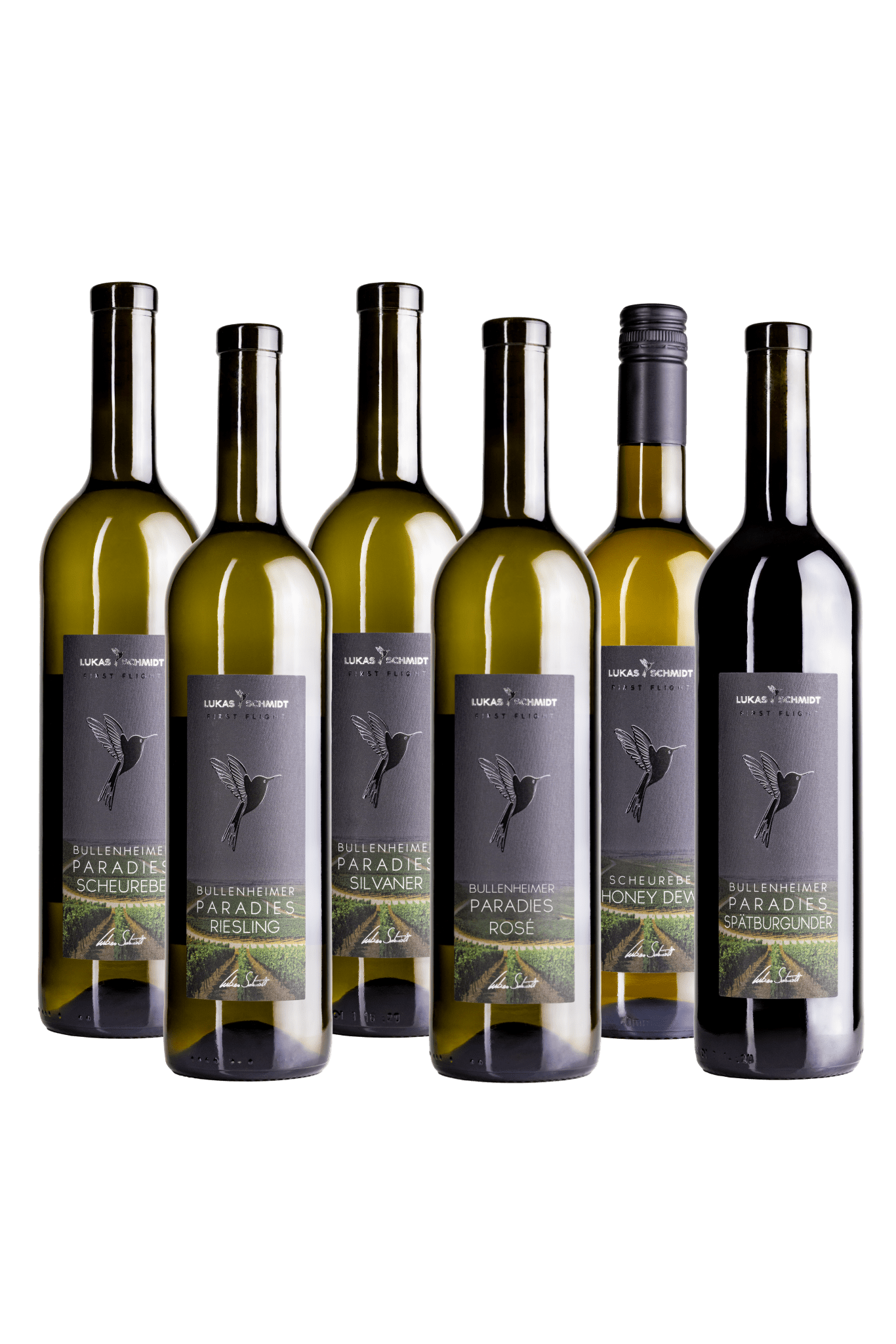 LUKAS SCHMIDT - 6er Probierpaket First Flight® "Zeit für große Visionen" - Lukas Schmidt Wein