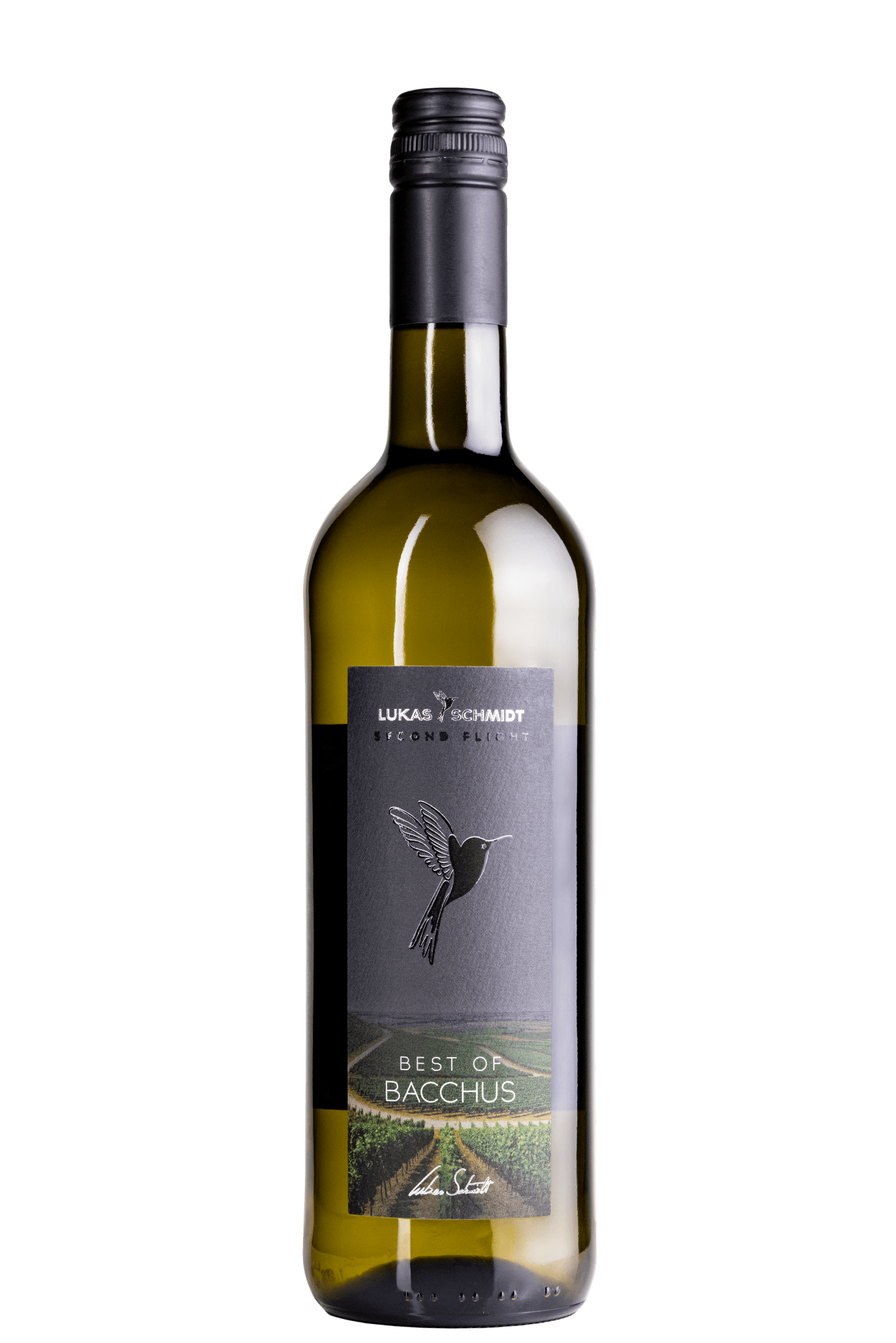 
                  
                    LUKAS SCHMIDT - Best of Bacchus - Second Flight - feinfruchtig - Set mit 6 Flaschen je 750ml - Lukas Schmidt Wein
                  
                
