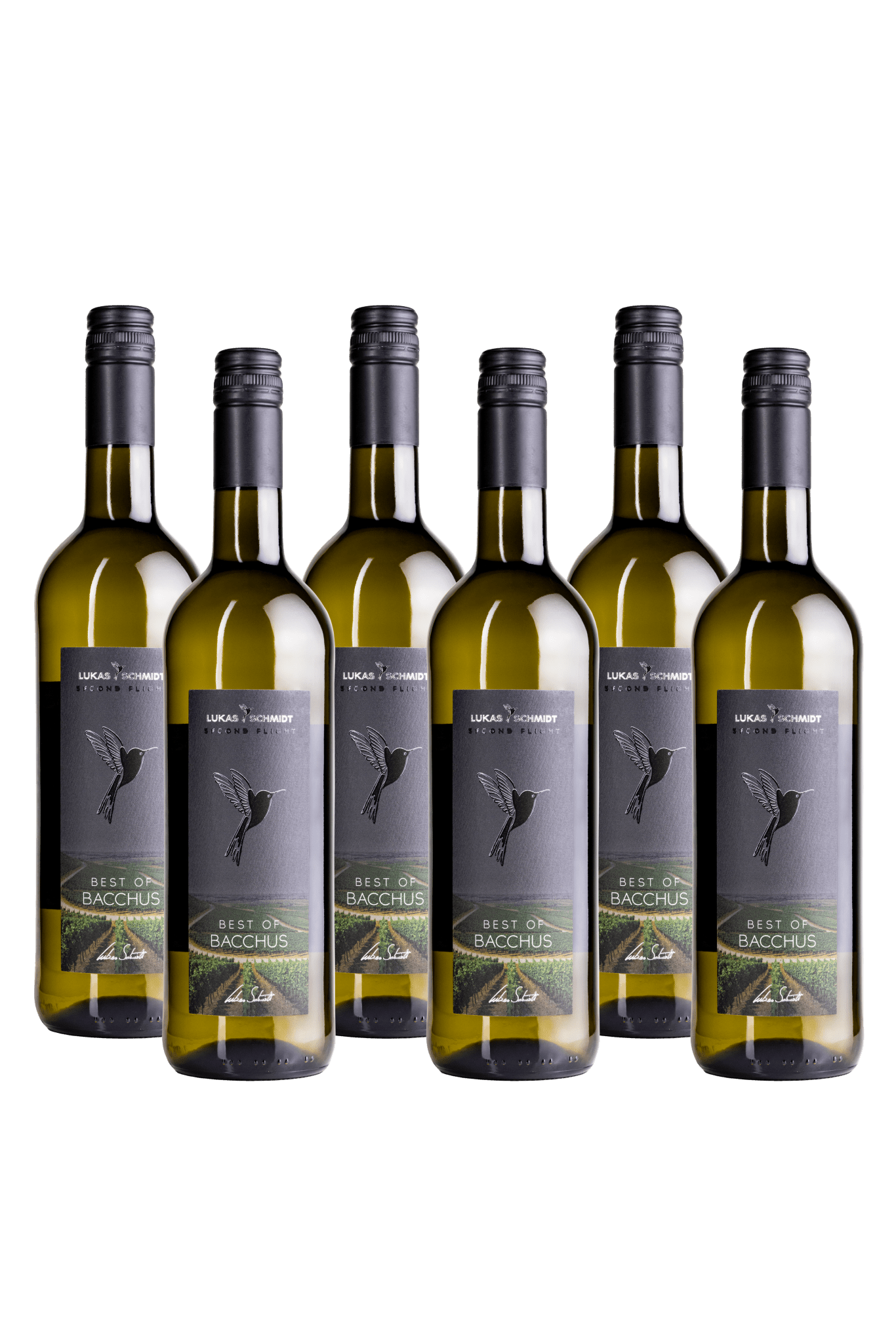 LUKAS SCHMIDT - Best of Bacchus - Second Flight - feinfruchtig - Set mit 6 Flaschen je 750ml - Lukas Schmidt Wein